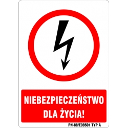 Znak elektryczny - Niebezpieczeństwo dla życia